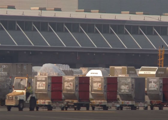 DHL International Air Freight Delivery Global Air Logistics 5-8 ngày làm việc
