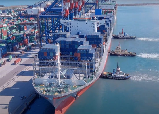 Khoang cung cấp Global Dropshipping Agent Dịch vụ vận chuyển hàng hóa đại dương